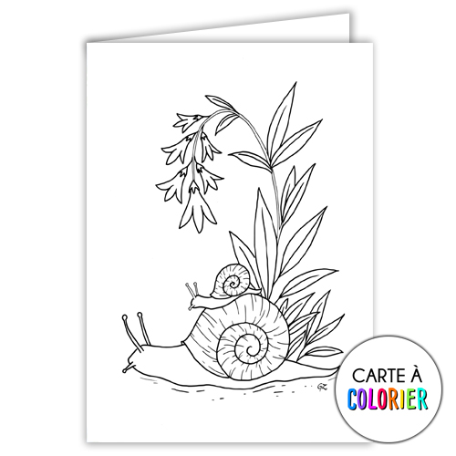 L’escargot – Carte à colorier