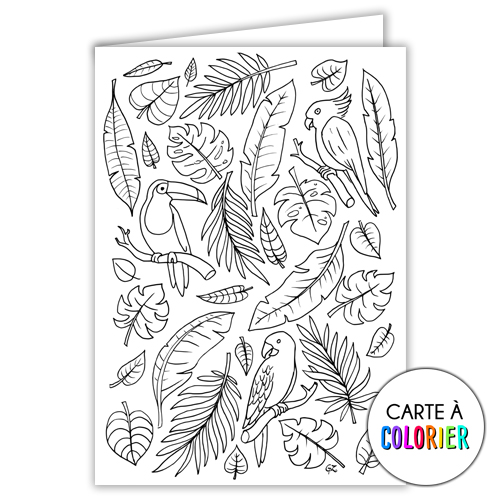 Tropiques – Carte à colorier